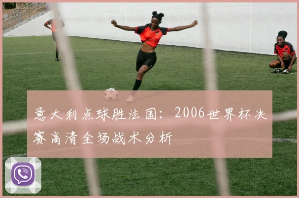 意大利点球胜法国:2006世界杯决赛高清全场战术分析