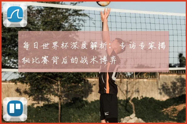 每日世界杯深度解析：专访专家揭秘比赛背后的战术博弈