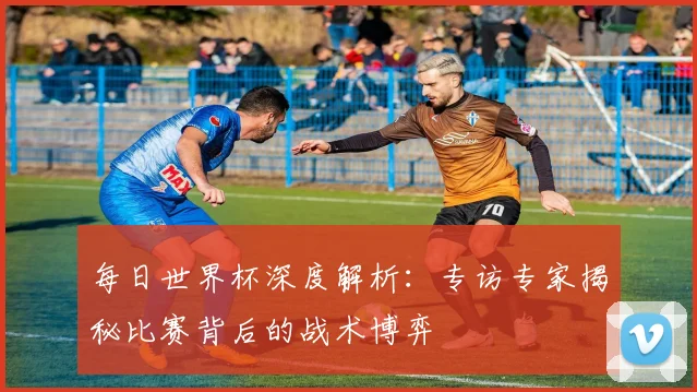每日世界杯深度解析：专访专家揭秘比赛背后的战术博弈