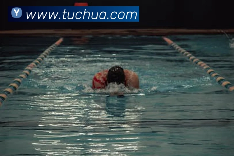 开云手机网页登录网页平台生态图