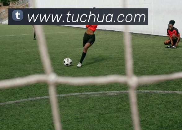 开云手机网页登录网页全站App 开云手机网页登录网页全站App